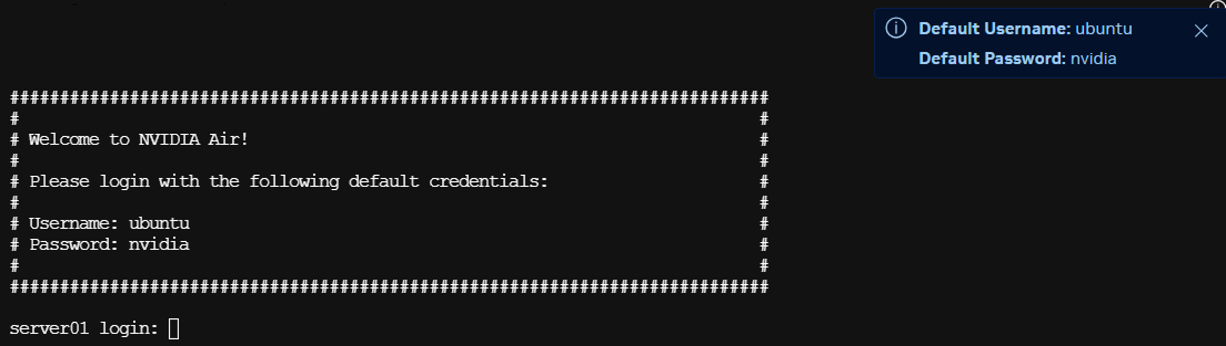 example console with login prompt