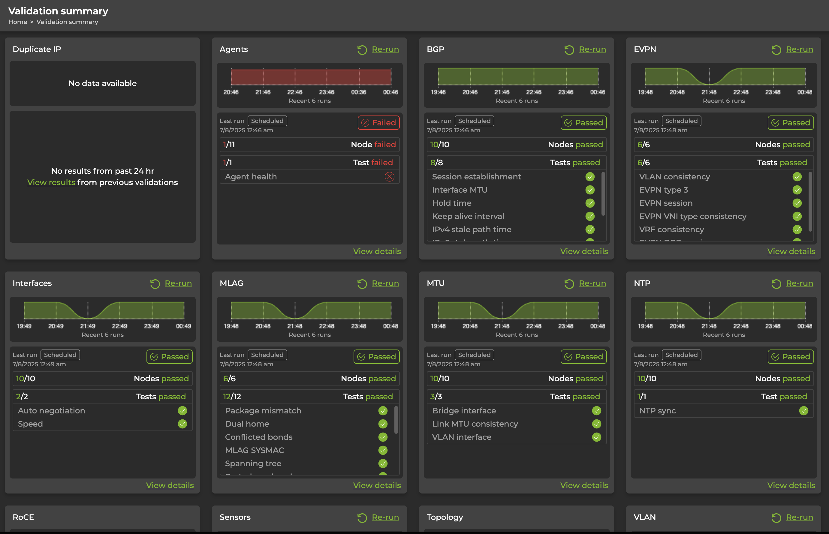 detailed validation summary with individual test results